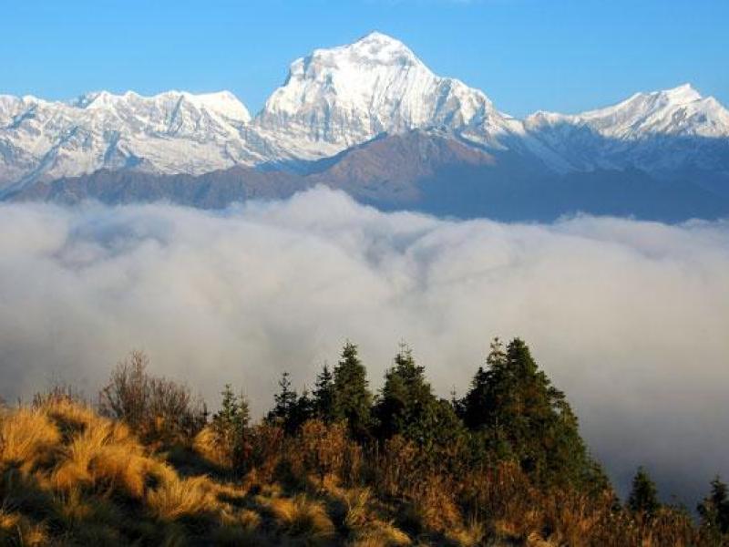 Amazing Nepal