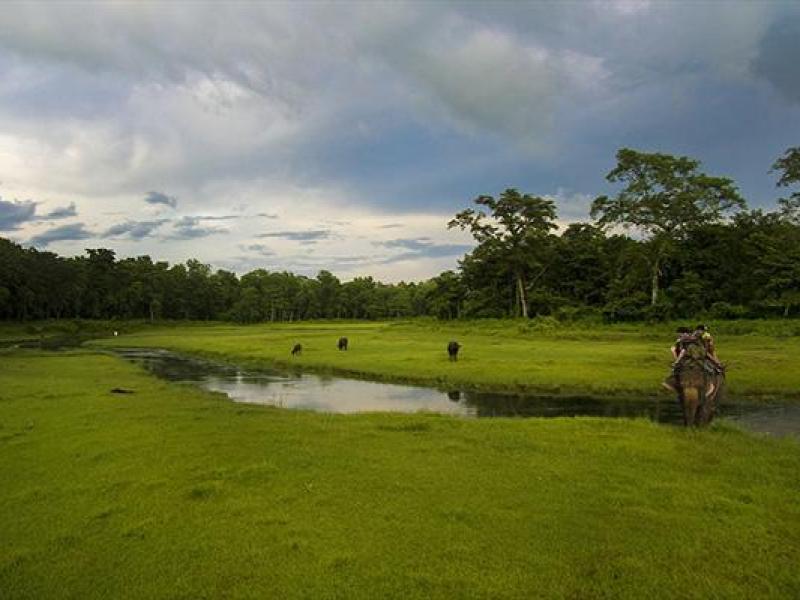Chitwan National Park